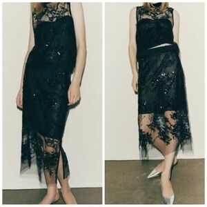 Zara Embroidered Tulle Skirt Limited Edition
